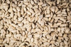 ÇİĞ ÇEKİRDEK İÇİ