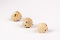 KÖY LEBLEBİSİ (BENEKLİ BEYAZ LEBLEBİ)