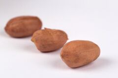 TUZSUZ FISTIK (KAVRULMUŞ) (yeni mahsül)