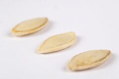 TUZSUZ KABAK ÇEKİRDEĞİ (KAVRULMUŞ)