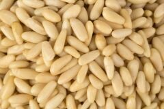 ÇAM FISTIĞI (KÜNER)